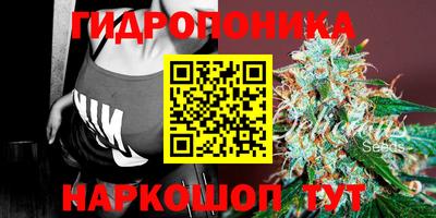 ALPHA PVP Новодвинск