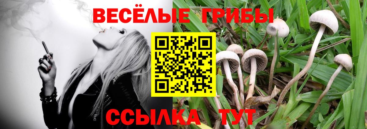 Псилоцибиновые грибы мухоморы Холмск
