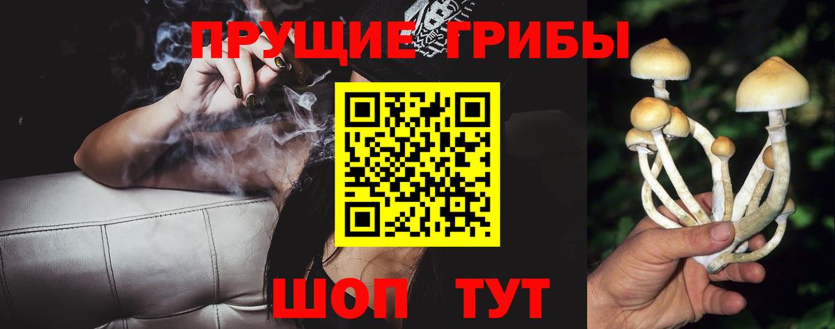 Холмск  Галлюциногенные грибы ЛСД  Галлюциногенные грибы GOLDEN TEACHER  где купить наркоту  Вход с VPN 